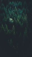 足球直播画面 - 绿茵场上球员激烈角逐的瞬间