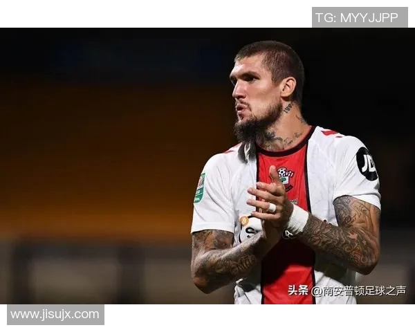 南安普顿21岁后卫拉里典斯将租借加盟西协甲球队菜品内体